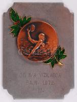 1972. "Vízilabda Bajnokság" zománcozott Br díjérem fémlapon, dísztokban. Szign.: Szentesy (95x70mm) T:1-