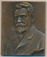 1918. "Surányi József" bronz plakett. Szign.: Hans Dietrich (104.7g/65x55mm) T:2,2-