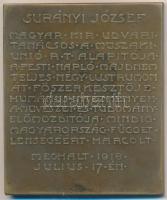 1918. "Surányi József" bronz plakett. Szign.: Hans Dietrich (104.7g/65x55mm) T:2,2-