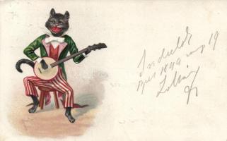 Banjo playing cat litho