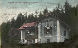 Ceméte, Angolkisasszonyok nyaralója / Sisters of Loreto resort (EK)