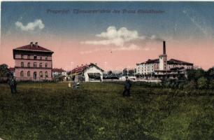 Pragersko, Franz Steinklauber Tonwarenfabrik / earthenware factory, Amalie Churfürst