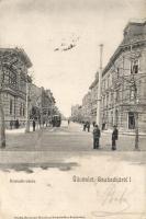 Szabadka, Kossuth utca, Bardovits Ferenc üzlete, villamos, Heumann Mór kiadása / street, shop, tram (EB)