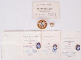 1972-1981. "Lenfonó és Szövőipari V. Törzsgárda" 5,10 és 15 év után, zománcozott fém kitűzők viselésre jogosító igazolvánnyal + 1985. "A Szövetkezeti Ipar Kiváló Dolgozója" kitüntetés miniatűrrel és viselésre jogosító igazolvánnyal T:vegyes