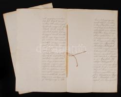 1898 Darányi Ignác földművelésügyi miniszter közvetlen előterjesztése Ferenc József királyhoz, a göd...