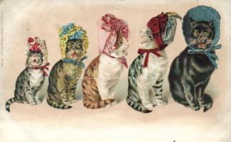 Cats litho (b)