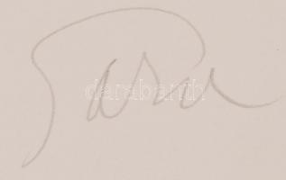 Gara Arnold (1882-1929): Egy lap a Magyar parnasszus című rézkarcalbumból. Rézkarc, papír, jelzett, ...