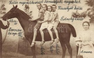 Oravicabánya, ló / horse, photo