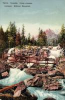 Tátra, Tarpatak, Közép vízesés, Feitzinger Ede No. 1060. / waterfall