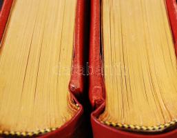 Klasszikus Arany Biblia. Az üdvnek ó- és új-szövetségi történelme rendszeres előadásban. Lipcse - Bp...