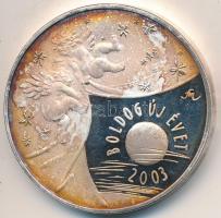 Fritz Mihály (1947-) ~2002. "Boldog Új Évet 2003" fém naptárérem (42,5mm) T:PP