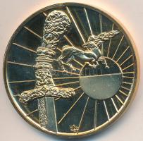 1993. "Magyarok népvándorlása és honfoglalása - Attila" aranyozott emlékérem (42mm) T:PP