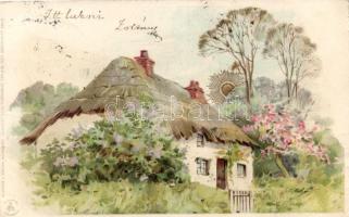 1899 House 'Winkler & Schorn, Sonnenschein-Postkarte Serie VI' golden decoration litho (fa)