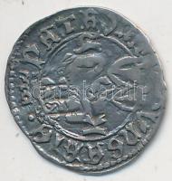 1498-1503. Denár Ag "II. Ulászló" (0.5g) T:2- Huszár 807., Unger I. 641.a