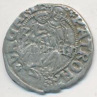 1502K-H Denár Ag "II. Ulászló" (0.64g) T:2-
Huszár 811.,Unger I.: 646.b