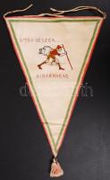 1929 Birkenhead Jamboree cserkész útízászló. Hímzett. / 1929 Birkenhead Jamboree embroided scout flag 21x29 cm