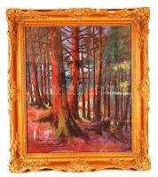 Sztelek Norbert (1884-1956): Ház a fák között. Pasztell, karton, keretben, 60×50 cm