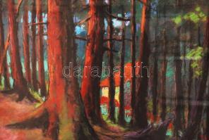 Sztelek Norbert (1884-1956): Ház a fák között. Pasztell, karton, keretben, 60×50 cm