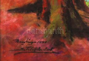 Sztelek Norbert (1884-1956): Ház a fák között. Pasztell, karton, keretben, 60×50 cm