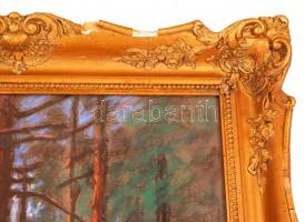 Sztelek Norbert (1884-1956): Ház a fák között. Pasztell, karton, keretben, 60×50 cm