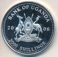Uganda 2006. 2000Sh Ag "A labdarúgás halhatatlanjainak csarnoka - Brazília 2000-es évek / Roberto Carlos" T:PP Tanúsítvánnyal Uganda 2006. 2000 Shilling Ag "Hall of Fame of football - Brazil 2000s / Roberto Carlos" C:PP With certificate