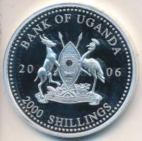 Uganda 2006. 2000Sh Ag "A labdarúgás halhatatlanjainak csarnoka - Lengyelország 1980-as évek / Zbigniew Boniek" T:PP Tanúsítvánnyal Uganda 2006. 2000 Shilling Ag "Hall of Fame of football - Poland 1980s / Zbigniew Boniek" C:PP With certificate