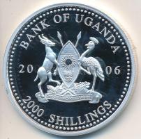 Uganda 2006. 2000Sh Ag "A labdarúgás halhatatlanjainak csarnoka - Jugoszlávia 1990-as évek / Dejan Svicevic" T:PP Tanúsítvánnyal Uganda 2006. 2000 Shilling Ag "Hall of Fame of football - Yugoslavia 1990s / Dejan Svicevic" C:PP With certificate