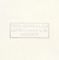 cca 1935-1940 Szabó Lajos: Virágos csendélet, pecséttel jelzett vintage fotó, 24x18 cm