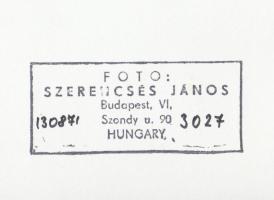cca 1970-1980 Szerencsés János(1950-): Az ünnepelt, pecséttel jelzett vintage fotóművészeti alkotás,...