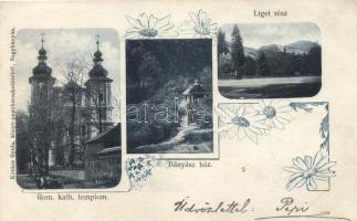 Nagybánya, Római katolikus templom, Bányász ház, liget / Roman Catholic church, miner's house, park, floral (EM)