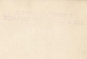 cca 1920 Kerny István (1879-1963): Korcsolyázók, pecséttel jelzett vintage fotó, egyik sarkán törésv...