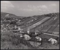 cca 1930-1940 Reich Péter Cornel: A budai hegyek lankái, jelzetlen vintage fotó, a szerző hagyatékából, 18x22 cm