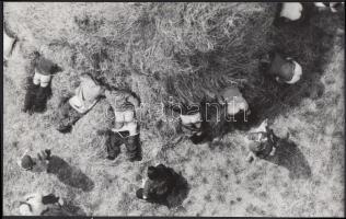 cca 1970 Legények mustrája, finoman erotikus fotó, 15x24 cm / cca 1970 Erotic photo