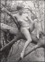 cca 1970-1980 Mi terem az erdőben? finoman erotikus fotó, 17x12 cm / cca 1970-1980 Erotic photo