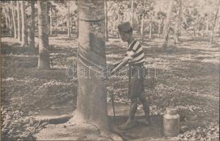 De groote cultures van Nederlandsch-Indie &#039;Koloniaal Instituut&#039; / The great cultures of the Dutch East Indies; old postcard booklet with 10 cards