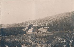 De groote cultures van Nederlandsch-Indie 'Koloniaal Instituut' / The great cultures of th...