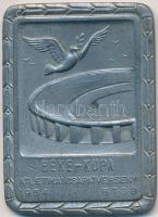 1954. "Béke-Kupa Atlétikai Csapatverseny BTSB (Budapesti Testnevelési és Sport Bizottság)" fém díjérem (55x40mm) T:2