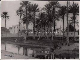 cca 1930-1940 Egyiptomi falu, olvashatatlan aláírással,  képszéli szakadásokkal, 18x24 cm