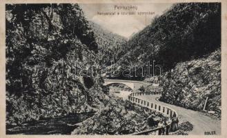 Szurduk, útkanyarulat; Adler photo / serpentine road (fl)