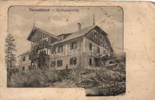 Thurzófüred, Budapest villa, kiadja Divald / villa (fa)