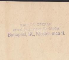 cca 1920-1930 Kallós Oszkár udvari és kamarai fényképész enteriőr felvétele egy kastély ebédlőjéről,...