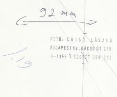 1990 Csigó László: Árnyékvető, pecséttel jelzett vintage fotó, 23x16 cm