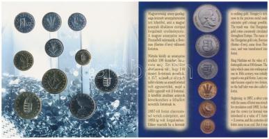 1996. 10f-100Ft "50 éves a forint" 10klf darabos forgalmi sor dísztokban T:BU