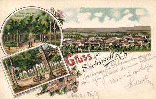 Szászrégen, Városi park főbejárata, Zene pavilon / main entry of the city park, music pavilion, floral litho (EK)