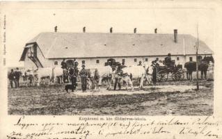 Komárom, Magyar királyi földműves iskola, Spitzer Sándor kiadása / agrar school  (r)