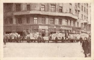 Budapest Kinderschütz Verein Büro
