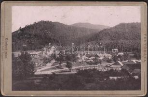 cca 1890 Klösz György(1844-1913): Fenyőháza, keményhátú látkép feliratozva, privát köszöntéssel a hátoldalán, kabinet méretben, 11x16 cm