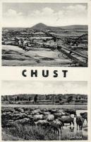 Huszt, híd, ökörnyáj / bridge, bulls (EK)