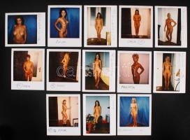 cca 1980 Polaroid fotótétel castingra jelentkezett hölgyekről, 13 db finoman erotikus fénykép, 10x7 és 8x8 cm-es méretben