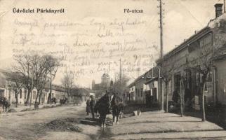 Párkány, Fő utca, bazilika / street, basilica (fa)